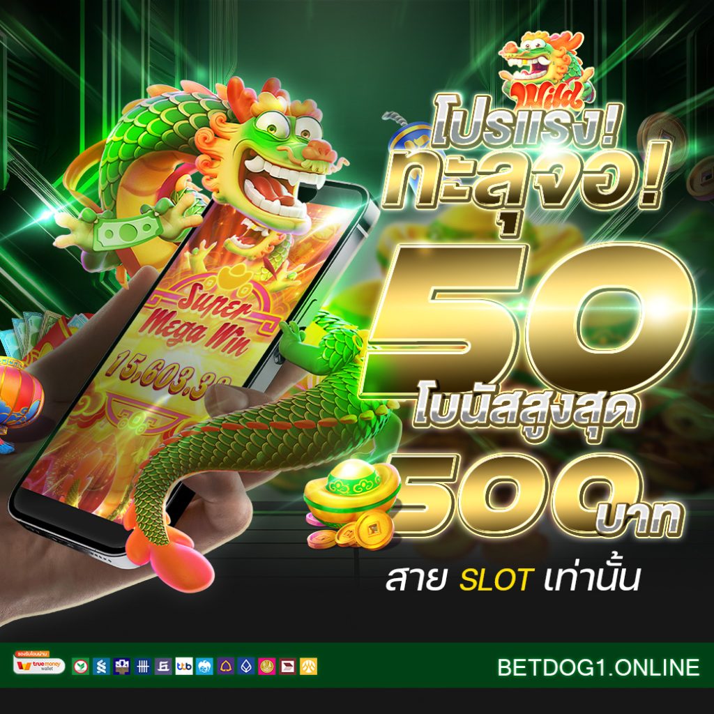 โปรแรงทะลุจอ 1040