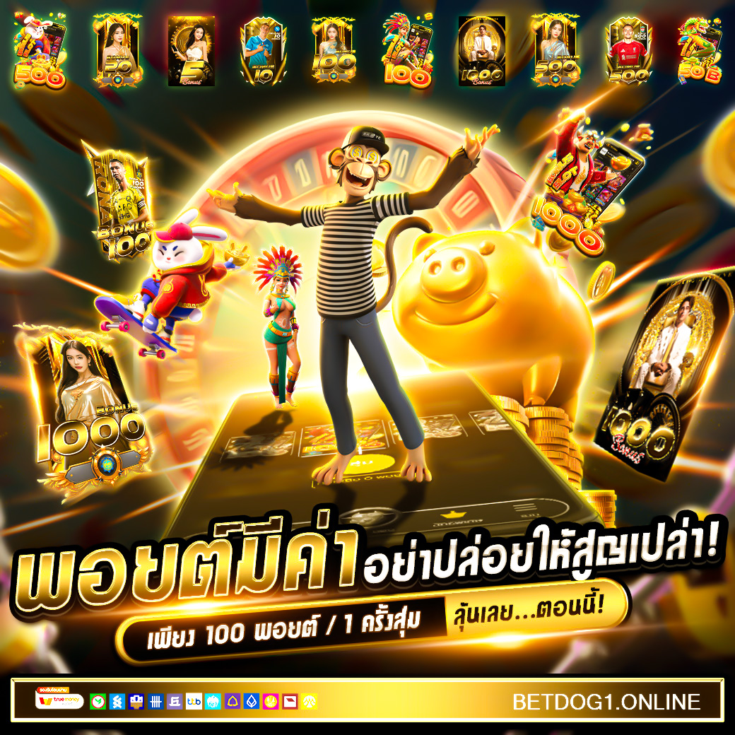 โปรโมทพอยท์ 1040